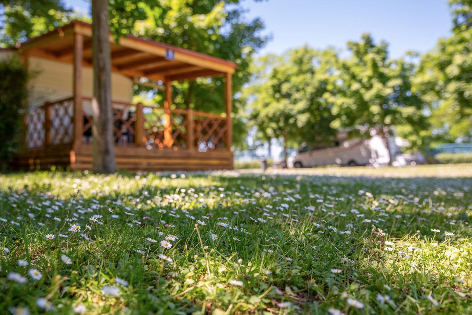 Hungarospa Thermal Camping Mobilhaz Hajdúszoboszló 외부 사진